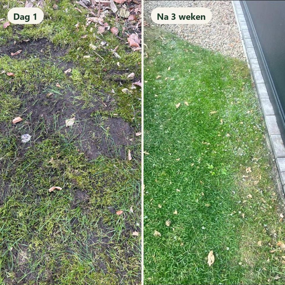 Dezelfde plek in de testtuin, voor en na