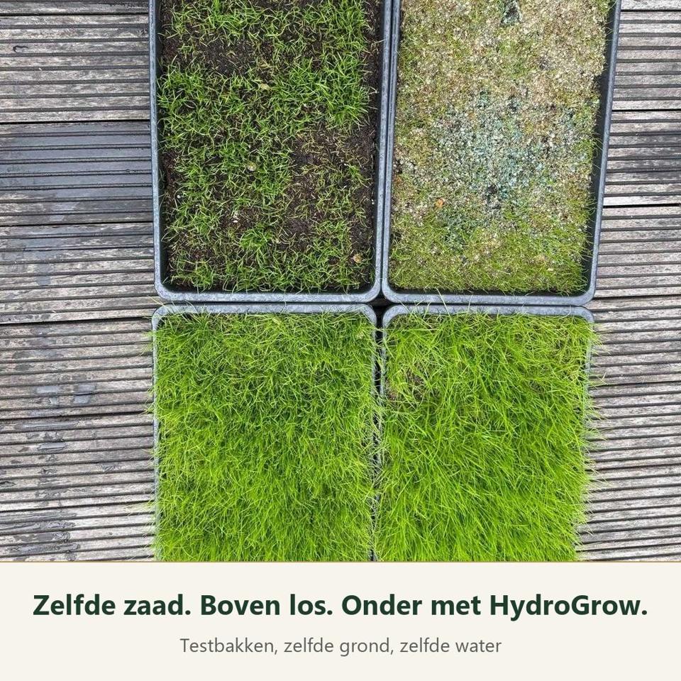 Vier testbakken: boven los graszaad, onder graszaad met HydroGrow-mulch
