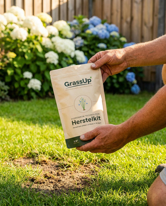 De Herstelkit wordt neergezet bij witte hortensia's