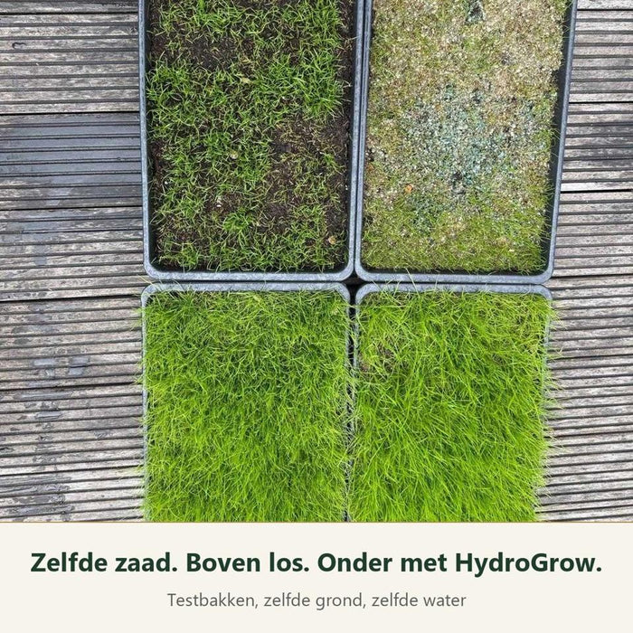 Vier testbakken naast elkaar: boven los graszaad, onder graszaad met HydroGrow-mulch