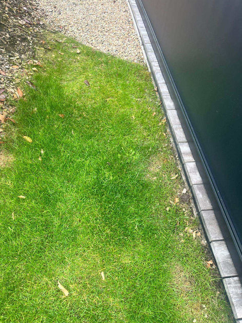 Hersteld gazon in de tuin van Gert